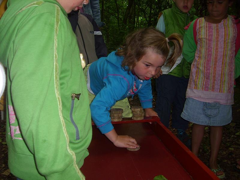 070612 skoalreiske beukers 060.jpg